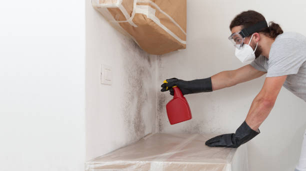 Professional Bathroom Mold Removal technician working in Aberdeen, NC
