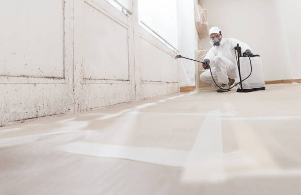 24/7 Emergency Bathroom Mold Removal experts in Aberdeen, NC