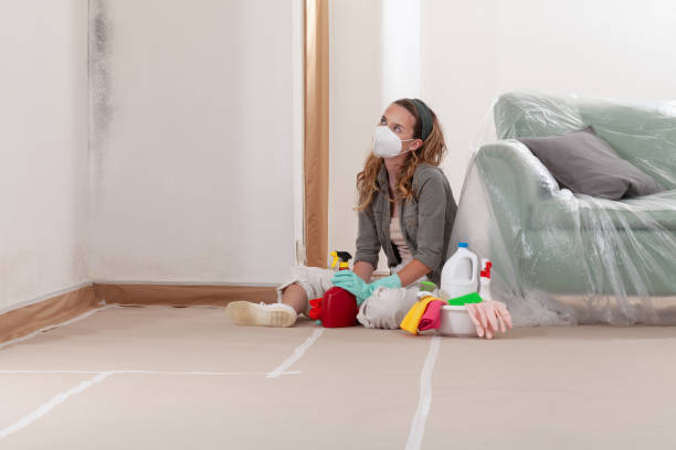Reliable Bathroom Mold Removal contractor in Aberdeen, NC by Mold Remediation HQ