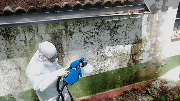 Top rated local Bathroom Mold Removal specialists in Aberdeen, NC
